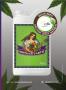 Page: - 43 | High Times