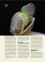 Page: - 56 | High Times