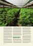 Page: - 58 | High Times