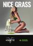 Page: - 63 | High Times