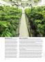 Page: - 66 | High Times