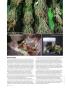 Page: - 74 | High Times