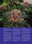 Page: - 80 | High Times