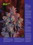 Page: - 84 | High Times