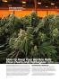 Page: - 88 | High Times
