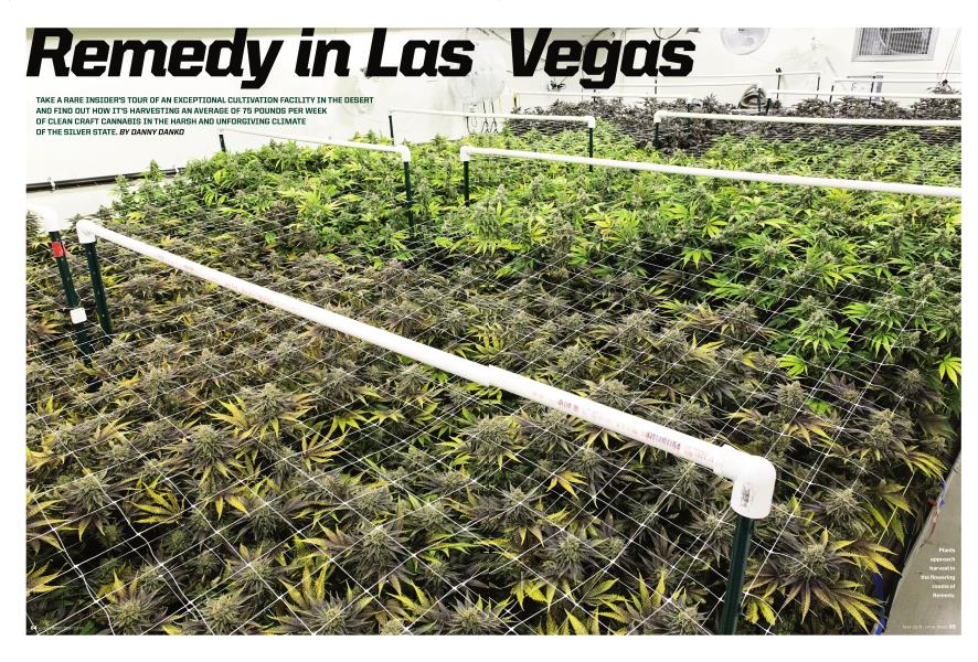 Remedy in Las Vegas