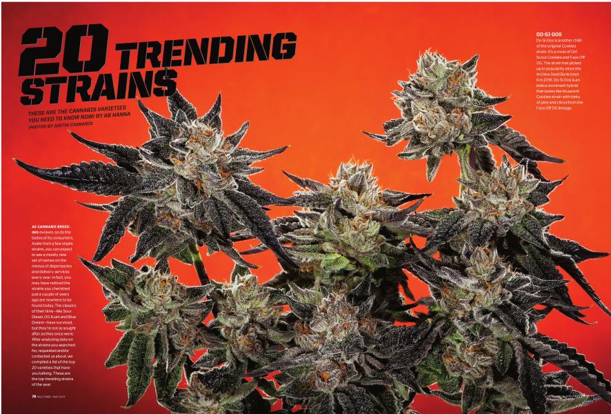 20 TRENDING STRAINS