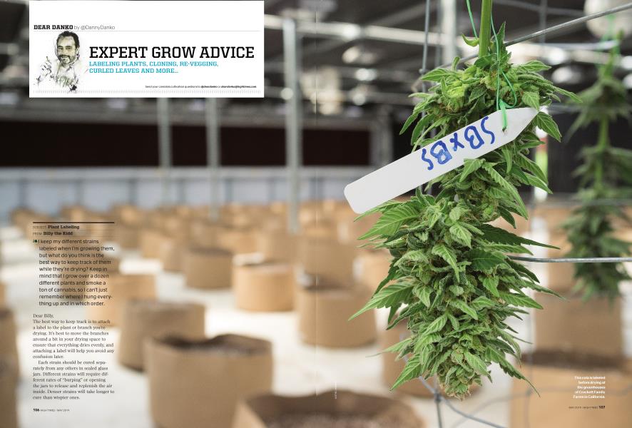 EXPERT GROW ADVICE