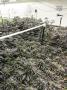 Page: - 107 | High Times