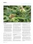 Page: - 108 | High Times