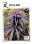 Page: - 122 | High Times