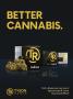 Page: - 22 | High Times