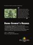 Page: - 41 | High Times