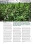 Page: - 54 | High Times