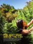Page: - 62 | High Times