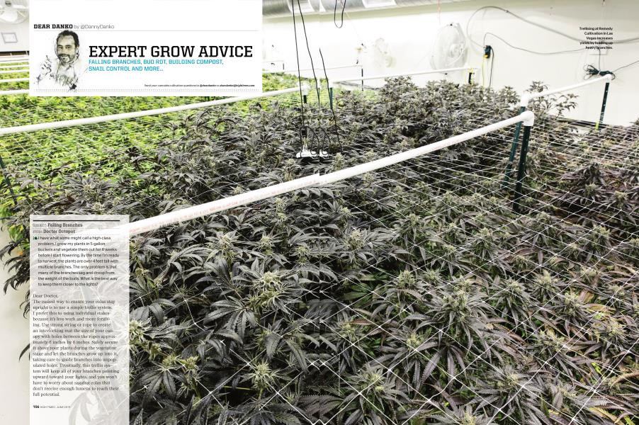 EXPERT GROW ADVICE