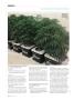 Page: - 108 | High Times