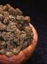 Page: - 21 | High Times