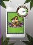 Page: - 43 | High Times