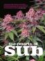 Page: - 62 | High Times