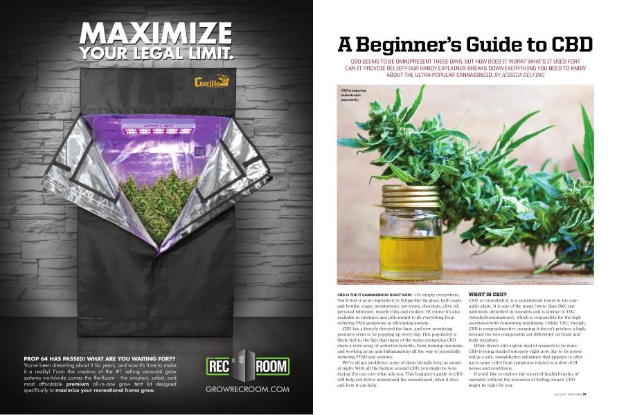 A Beginner’s Guide to CBD