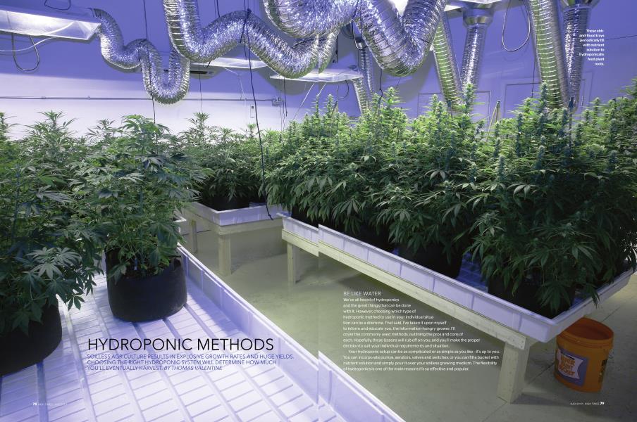 HYDROPONIC METHODS