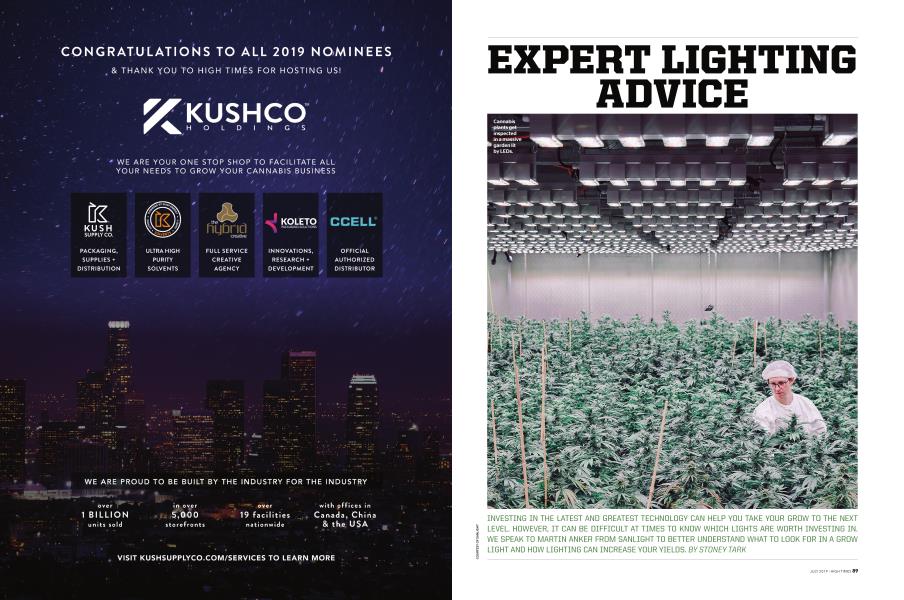 EXPERT LIGHTING ADVICE