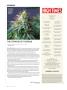Page: - 12 | High Times