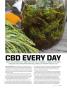 Page: - 55 | High Times