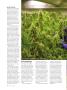 Page: - 64 | High Times