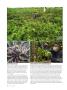 Page: - 72 | High Times