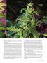 Page: - 79 | High Times