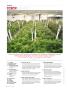 Page: - 8 | High Times