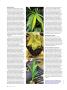 Page: - 82 | High Times