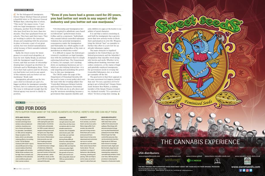 CBD FOR DOGS