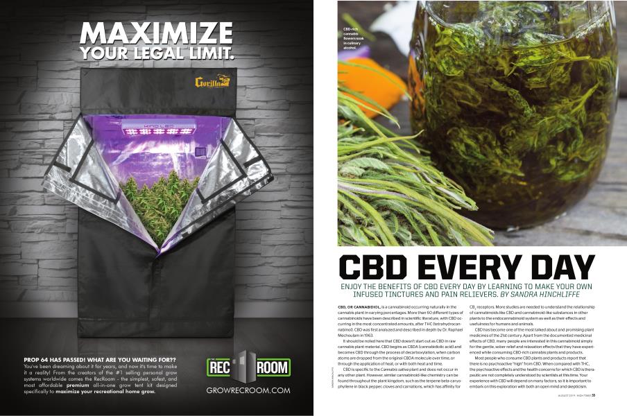 CBD EVERY DAY