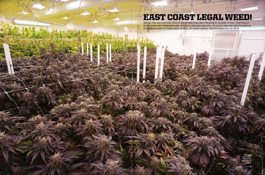 EAST COAST LEGAL WEED!