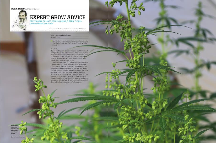 EXPERT GROW ADVICE