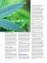 Page: - 100 | High Times
