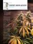 Page: - 106 | High Times