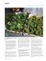 Page: - 108 | High Times