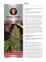 Page: - 110 | High Times