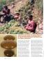 Page: - 48 | High Times