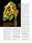 Page: - 56 | High Times