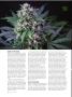 Page: - 66 | High Times