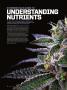 Page: - 96 | High Times