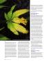 Page: - 98 | High Times