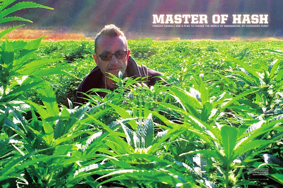 MASTER OF HASH