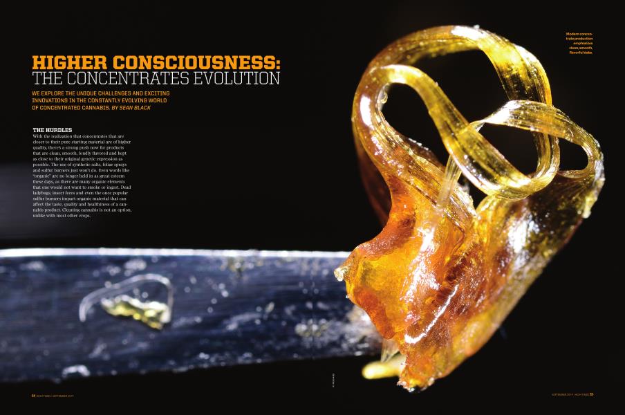 HIGHER CONSCIOUSNESS: THE CONCENTRATES EVOLUTION