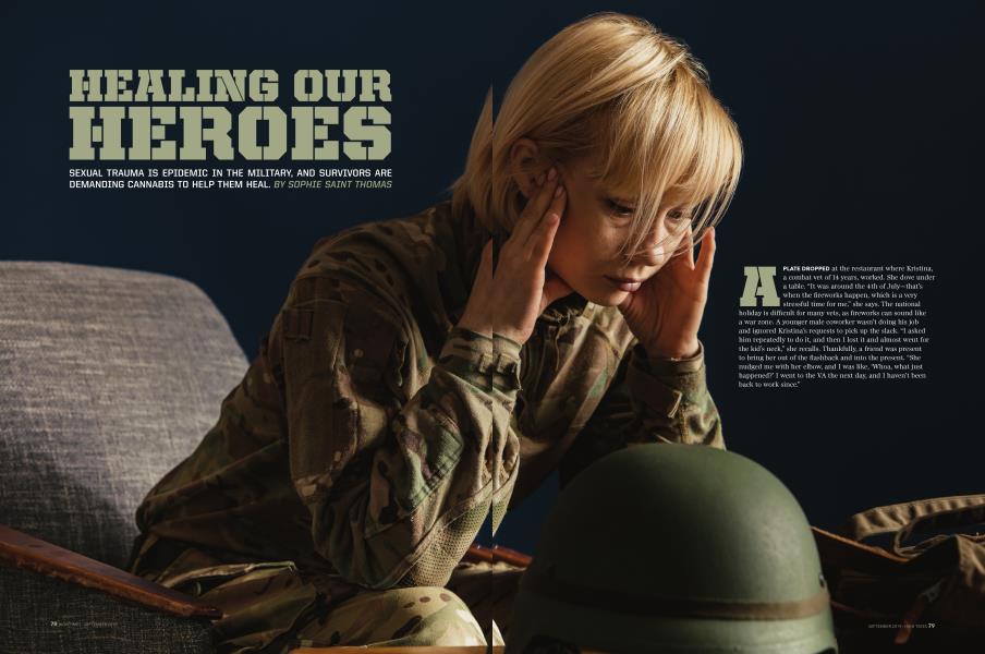 HEALING OUR HEROES